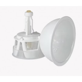 PROTETOR  PHASEAL P28 - O QUIMIOTERAPIA