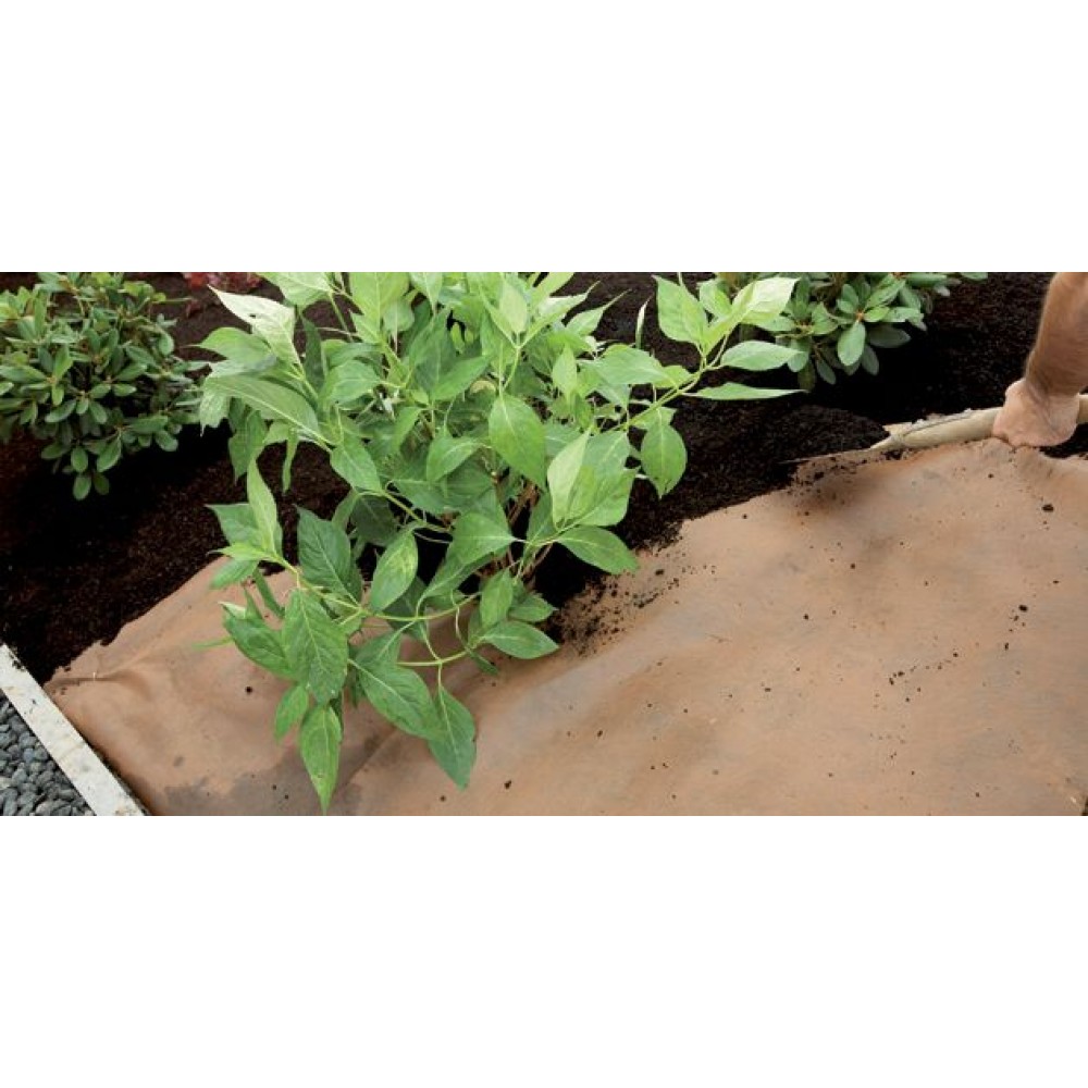 DUPONT PLANTEX GOLD WEEDMAX - ROLO 2X100M ( 125G/M2)