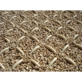 BOSK ARCOPAV BEJE 1,20X12,60X0,40M  15,12M2