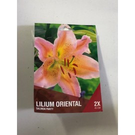 S.BOLBO SAQUETA LILIUS ORIENTAIS 2B