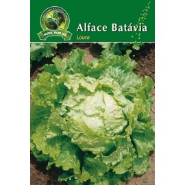 S.ALFACE ALEIXO BATAVIA LOURA-CARTEIRA