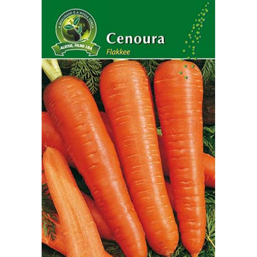 S.CENOURA ALEIXO FLAKKEE- CARTEIRA