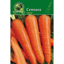 S.CENOURA ALEIXO FLAKKEE- CARTEIRA