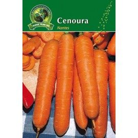 S.CENOURA ALEIXO NANTES - CARTEIRA