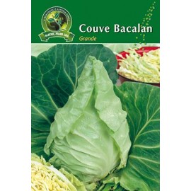 S.COUVE BACALAN GRANDE ALEIXO-CARTEIRA