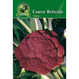S.COUVE BROCULO VIOLETA ALEIXO-CARTEIRA
