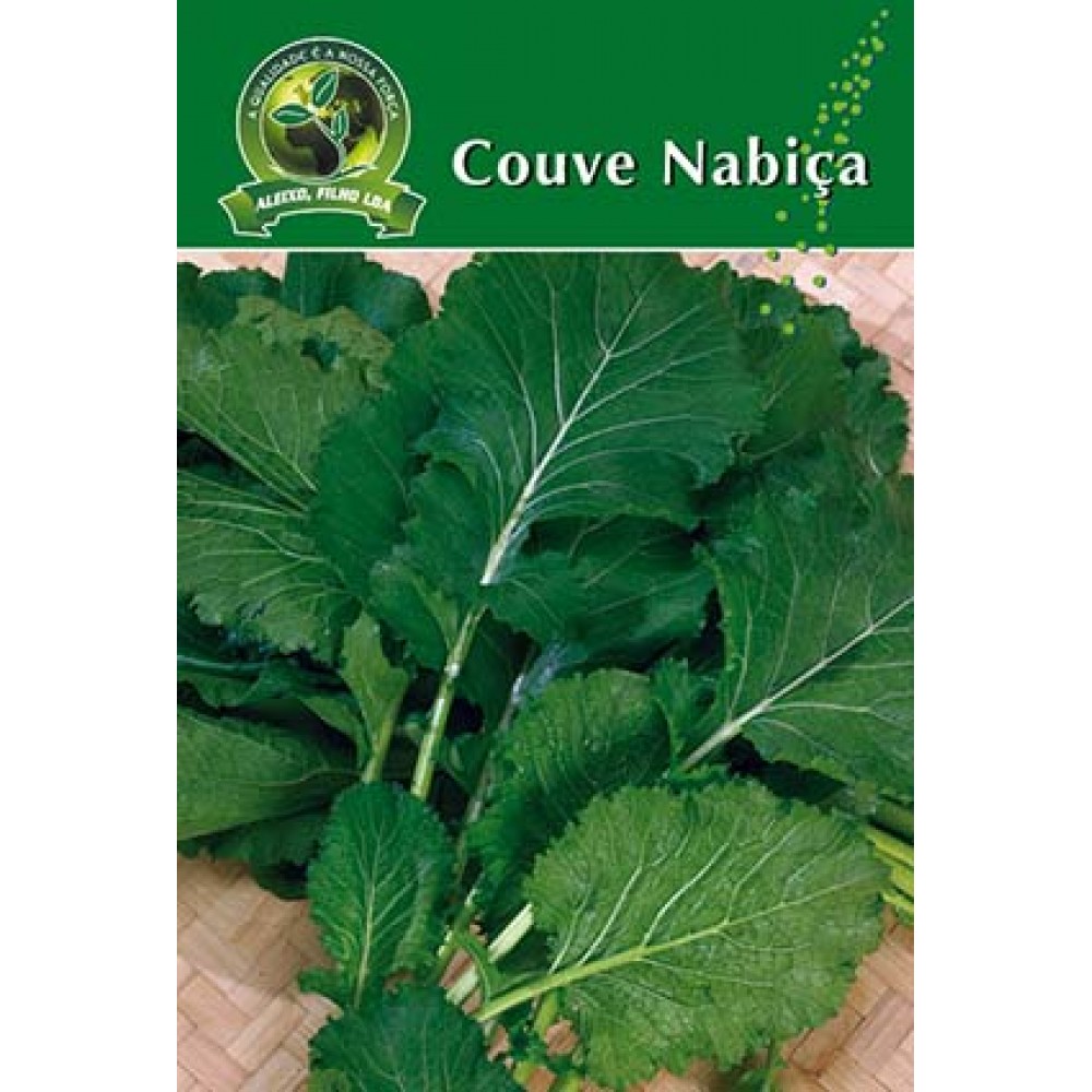 S.COUVE NABIÇA ALEIXO-CARTEIRA