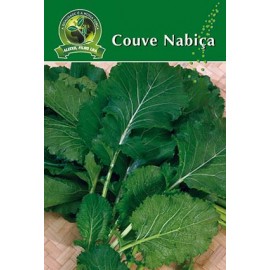 S.COUVE NABIÇA ALEIXO-CARTEIRA