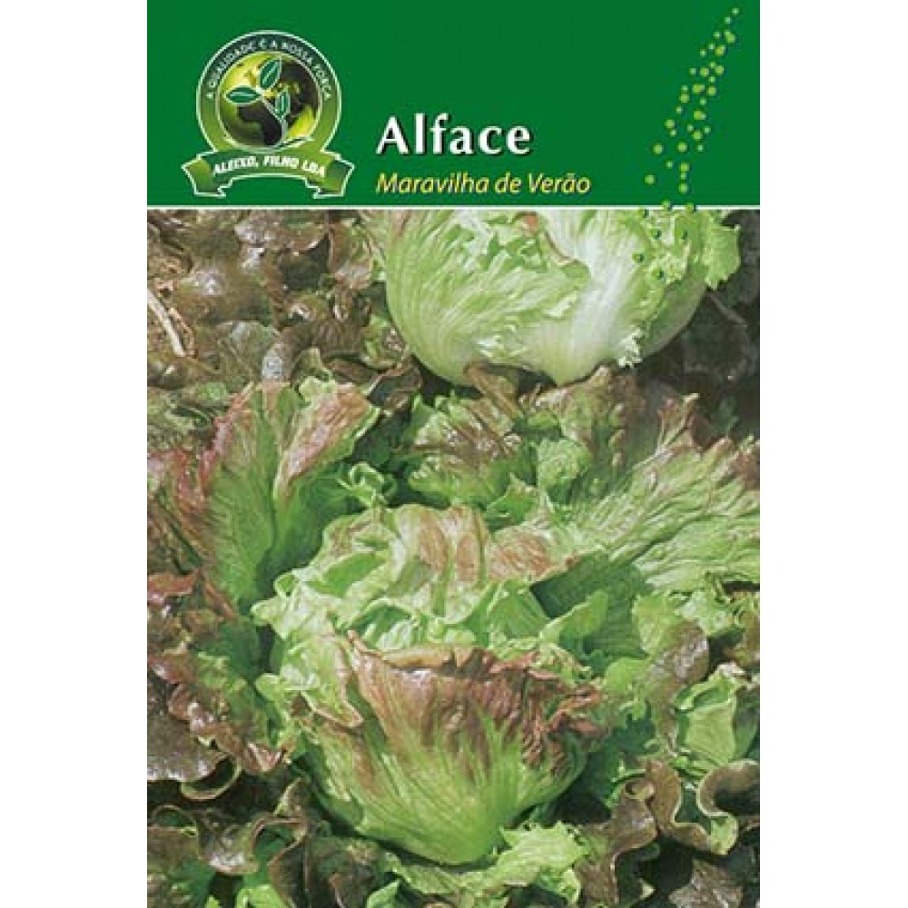 S.ALFACE ALEIXO MARAVILHA VERAO-CARTEIRA