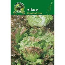 S.ALFACE ALEIXO MARAVILHA VERAO-CARTEIRA