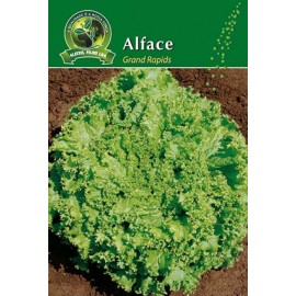 S.ALFACE ALEIXO GRAND RAPIDS- CARTEIRA