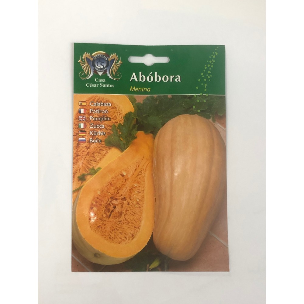 S.ABOBORA ALEIXO MENINA-CARTEIRA