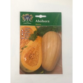 S.ABOBORA ALEIXO MENINA-CARTEIRA