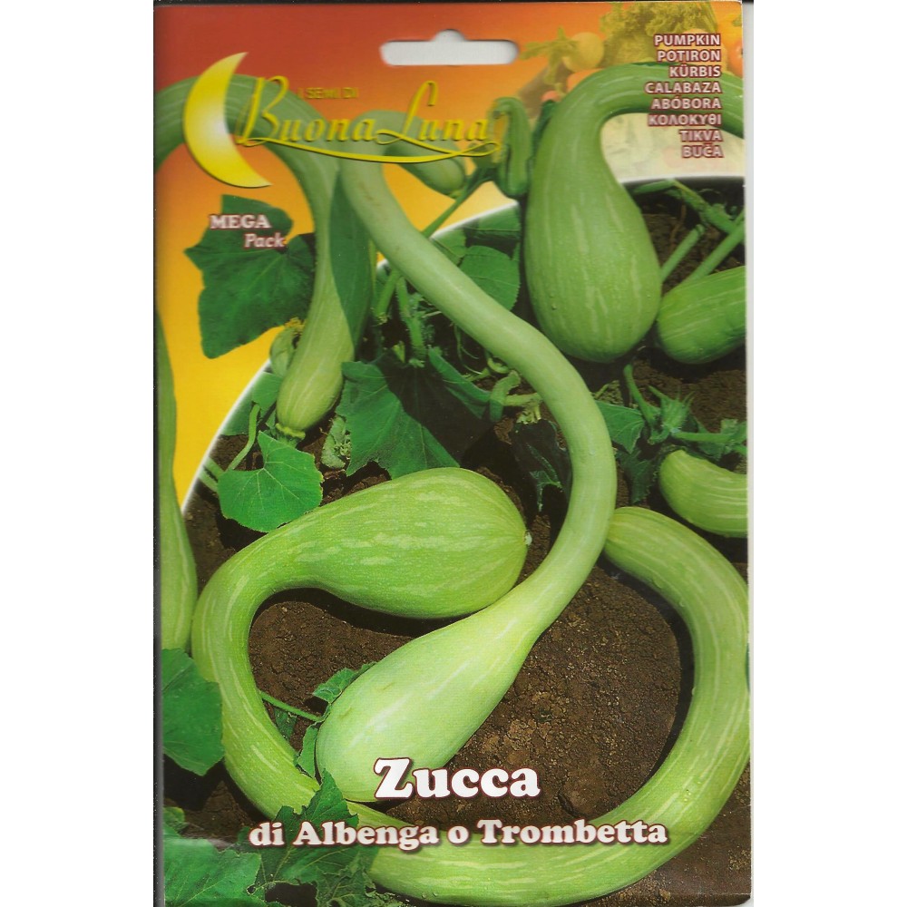 S.ABOBORA ALEIXO TROMBA D.ALBENGA-CARTEIRA