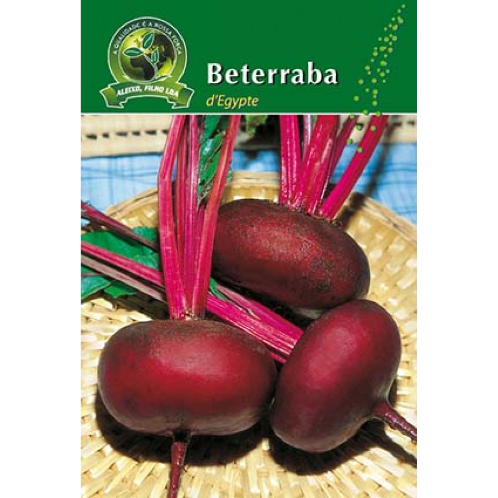S.BATERRABA ALEIXO D`EGYPTE-CARTEIRA