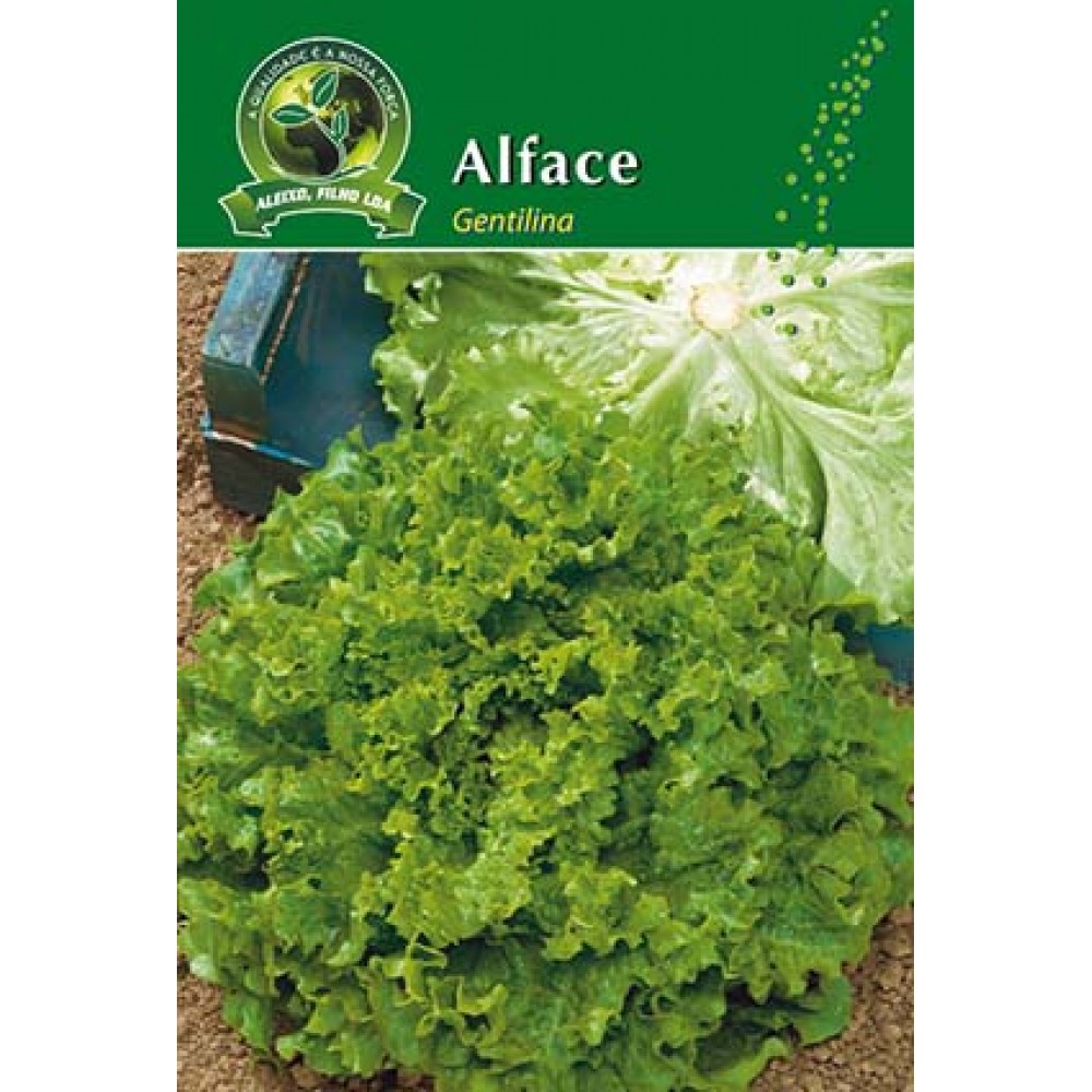 S.ALFACE ALEIXO GENTILINA-CARTEIRA