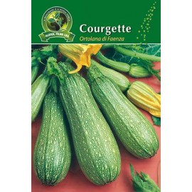 S.COURGETTE ALEIXO ORTOLANA DI FAENZA-CART.