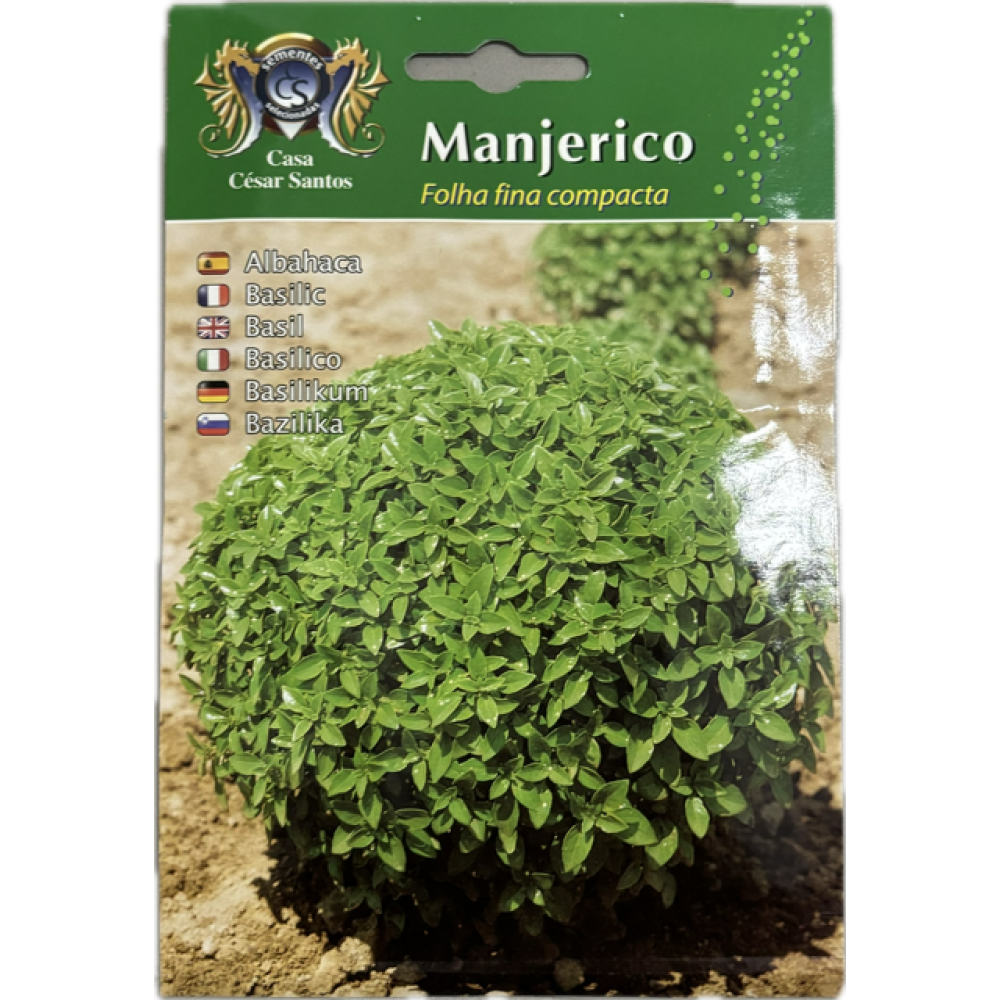 S.MANJERICO ALEIXO FOLHA FINA- CARTEIRA