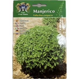 S.MANJERICO ALEIXO FOLHA FINA- CARTEIRA