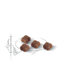 ROYAL CANIN MOTHER&BABYCAT - 400GR