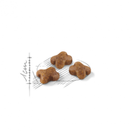 ROYAL CANIN KITTEN - 400GR