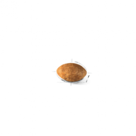 ROYAL CANIN GATO PERSIAN - 400GR