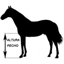 CO.BEBEDOURO CAVALOS AUTOMATICO
