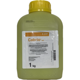 BASF CABRIO WG AV 0642 - 1 KG