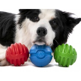 BOLA PELOTA RUGA