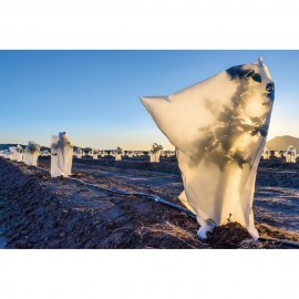 MANTA TERMICA EM SACO DE PROTEÇÃO PARA CULTURAS 1,50x,1,80m - 2UNID