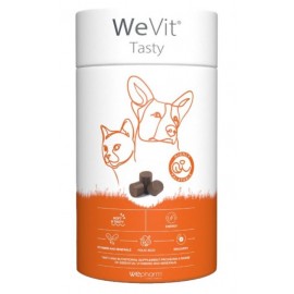 WEPHARM WEVIT TASTY 30 CHEWS