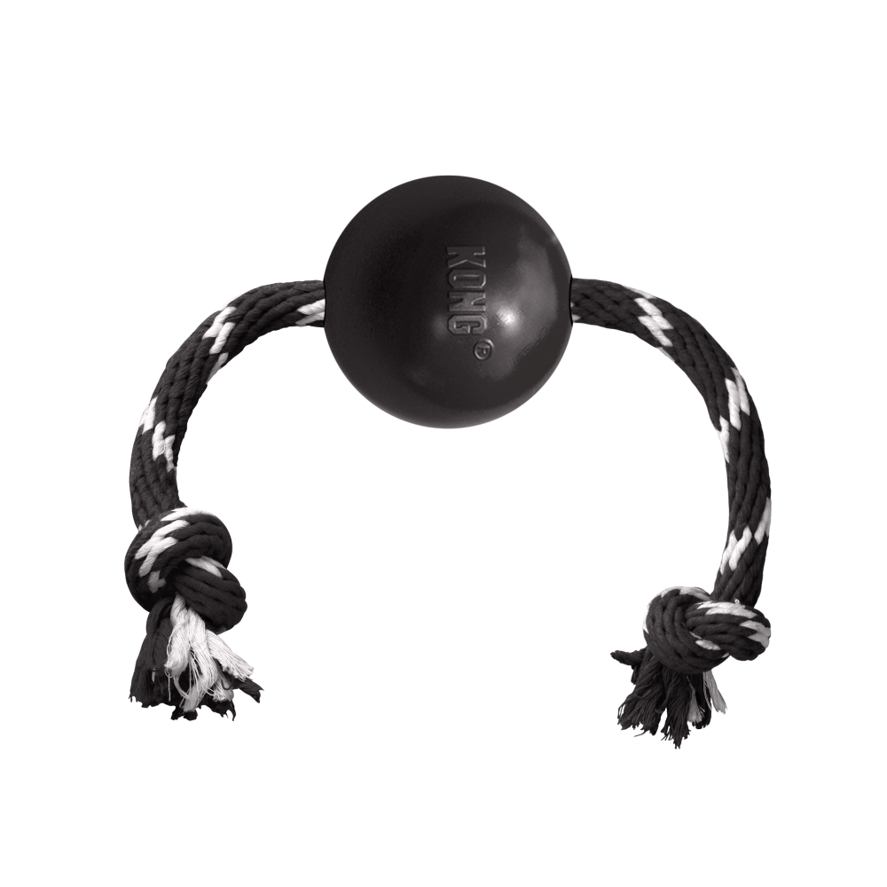 KONG BRINQUEDO PARA CÃES EXTREME BALL W/ROPE LG