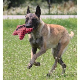 KONG BRINQUEDO PARA CÃES MAXX STAR (S/M)