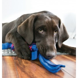 KONG BRINQUEDO PARA CÃES WUBBA TUGGA  (L)
