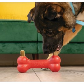 KONG BISCOITOS ZIGGIES ENHANCED (M/L) -227G