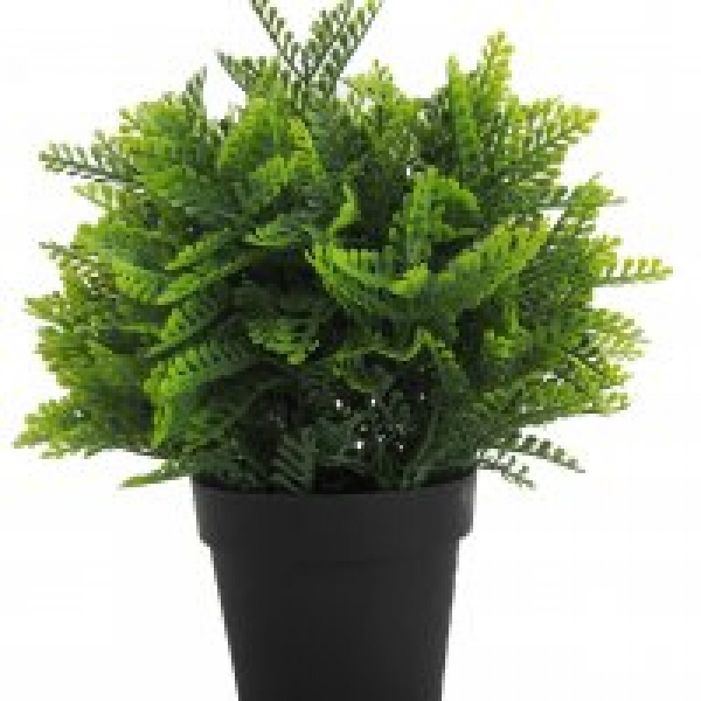 VASO SEMPRE VERDE PIANTINE - CAPELVENERE -9,5 X 25