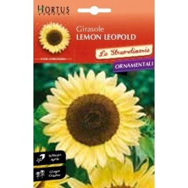 S.GIRASSOL LEMON LEOPOLD HORTUS