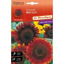 S.GIRASSOL RED SUN HORTUS