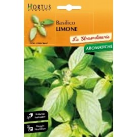 S.MANJERICÃO LIMÃO HORTUS