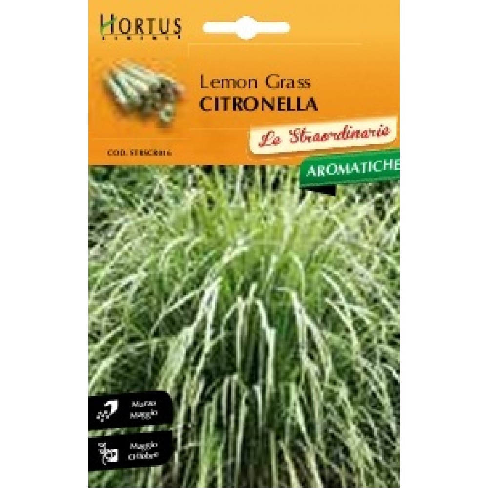 S.CITRONELA HORTUS