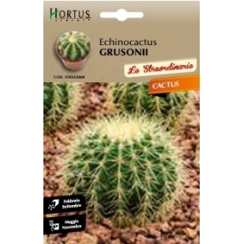 S.CACTUS ECHINOCACTUS GRUSONII HORTUS