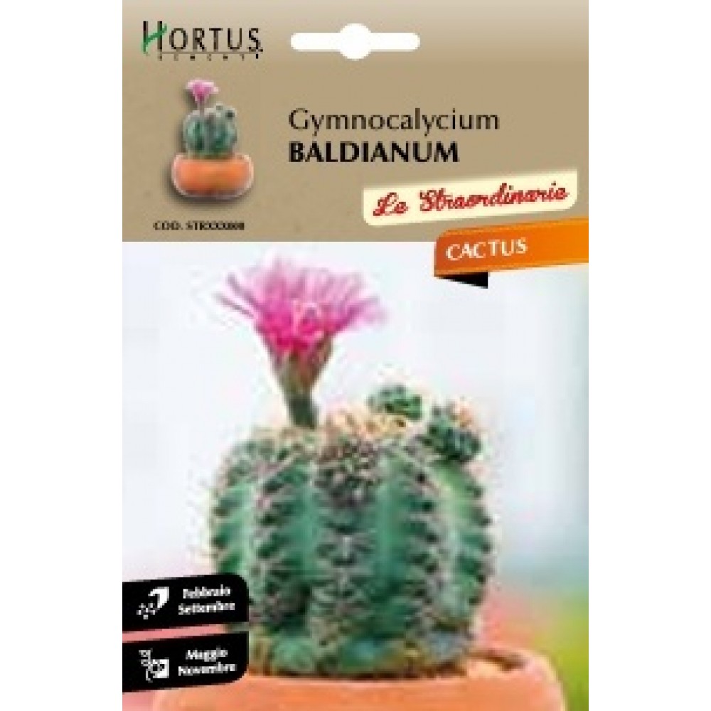 S.CACTUS GYMNOCALYCIUM BALDIANUM HORTUS