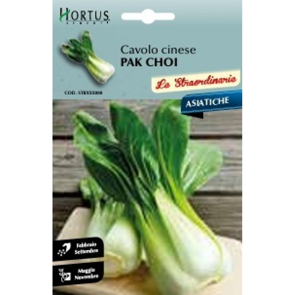 S.COUVE CHINA PAK CHOI HORTUS