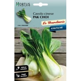 S.COUVE CHINA PAK CHOI HORTUS