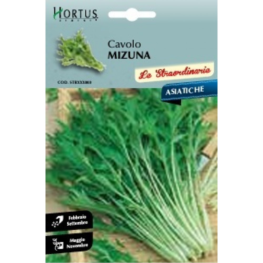 S.MIZUNA VERDE HORTUS