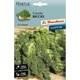 S.COUVE RICCIO DWARF GREEN CURLED HORTUS