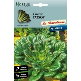 S.COUVE TATSOY HORTUS