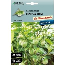S.BERINGELA WHITE EGG HORTUS