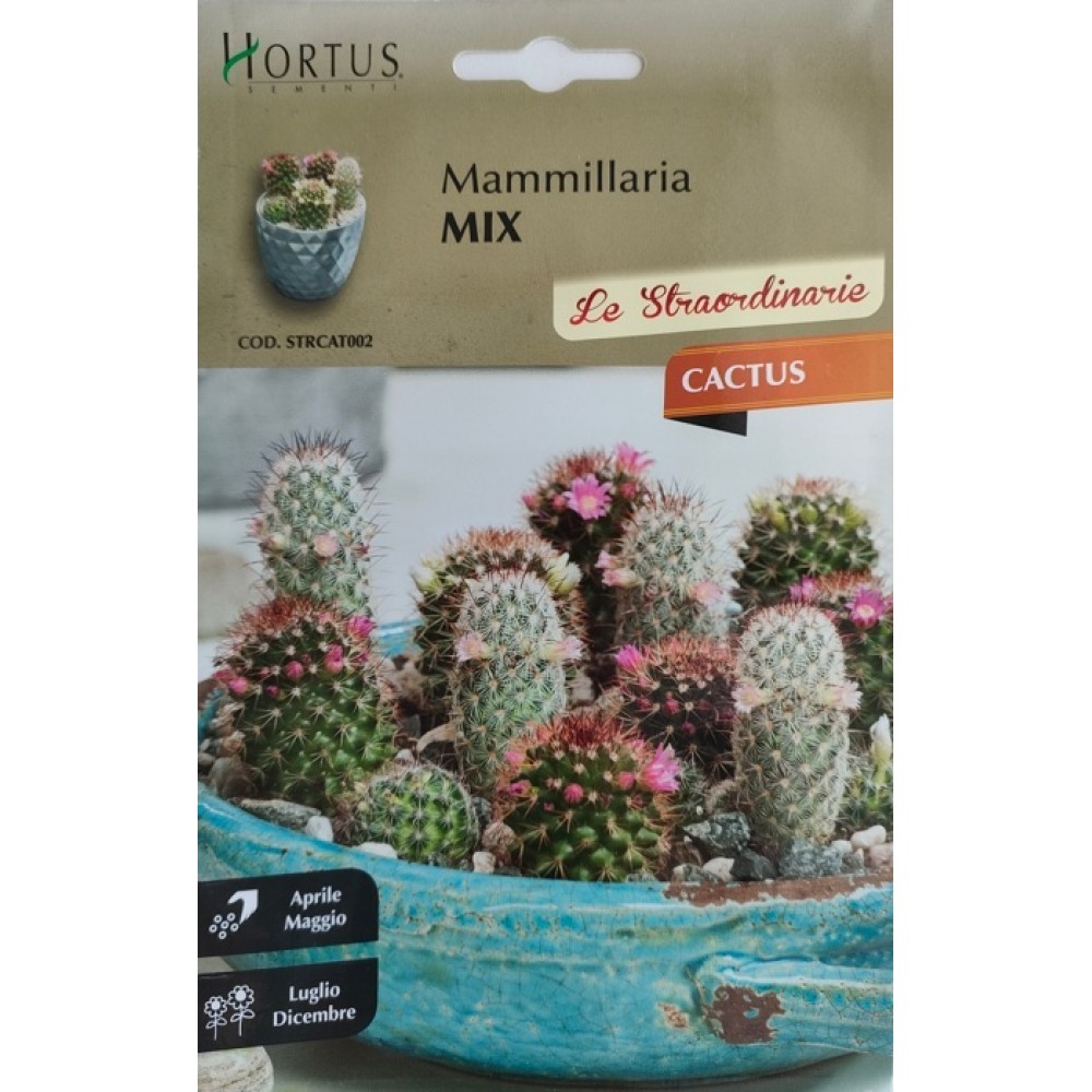 S.CACTUS MAMMILLARIA MIX HORTUS