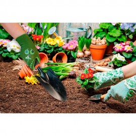 LUVAS DE JARDINAGEM INFANTIS NYLON/LATEX RUGOSO VERDE TAMANHO 8 ANOS